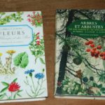 livres et fleurs à la Brocante de la Pointe Minard de Plouézec, à deux pas de Paimpol